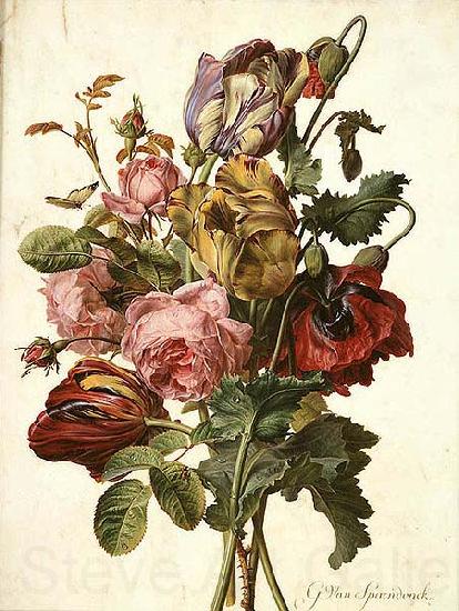 Gerard van Spaendonck Bouquet of Tulips, Roses and an Opium Poppy, with a Pale Clouded Yellow Butterfly, a Red Longhorn Beetle and a Sevenspotted Ladybug Spain oil painting art